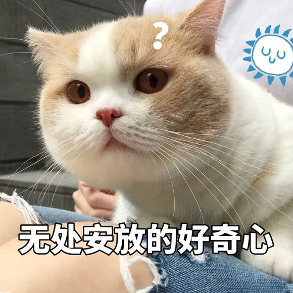 中国动漫产业网