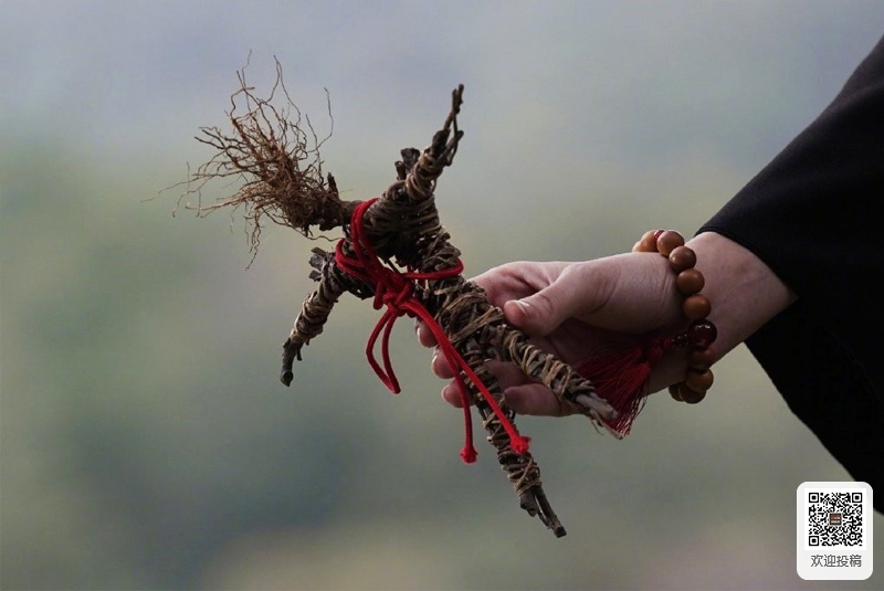 中国动漫产业网