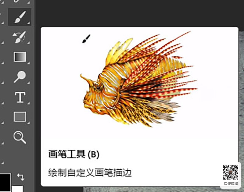 中国动漫产业网