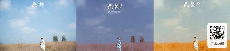 中国动漫产业网